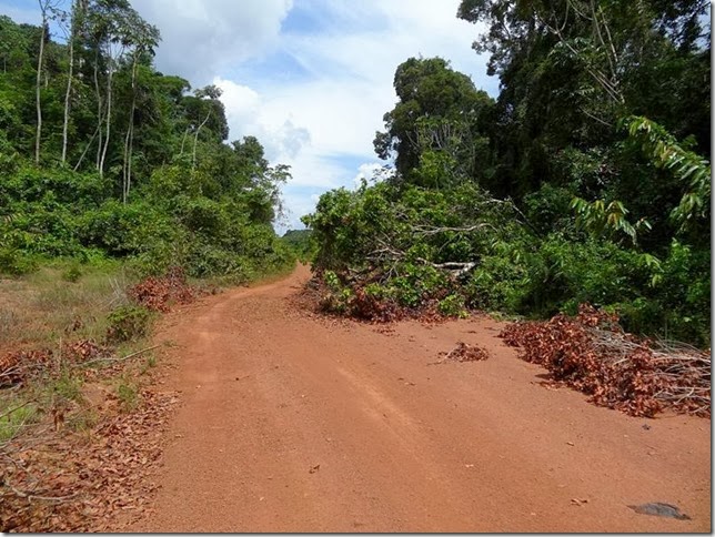 Lethem_Linden_Road_DSC06630 Lethem_Linden_Road_DSC06630