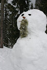 ~~~~~~~~~~~~~~~~ THINK SNOW! ~~~~~~~~~~~~~~~