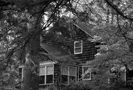 IMGP0106 IMGP0106
