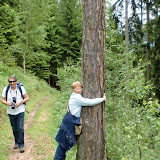 19.06.10 Elementewanderung St. Jakob Leonardiweg - Gita a san giacomo Leonaridweg