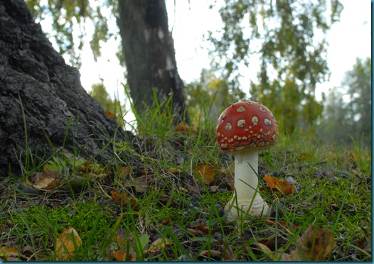 syyskuun vimeinen läpimin päivä 011 syyskuun vimeinen läpimin päivä 011