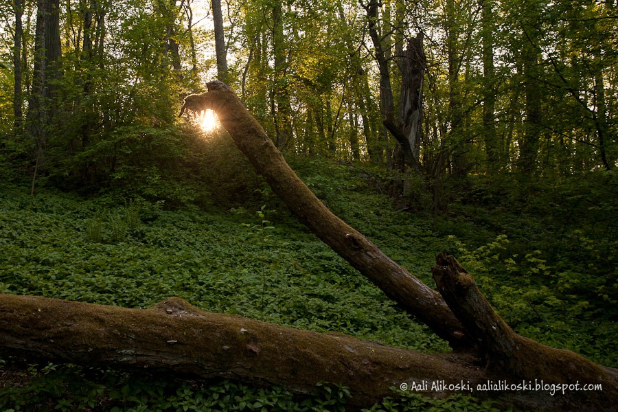 [IMG_8108%255B4%255D.jpg]