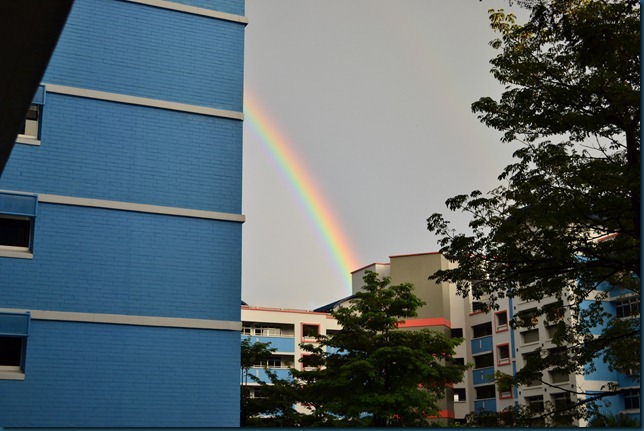 DSC_0473