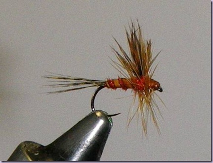 clip_image028 clip_image028