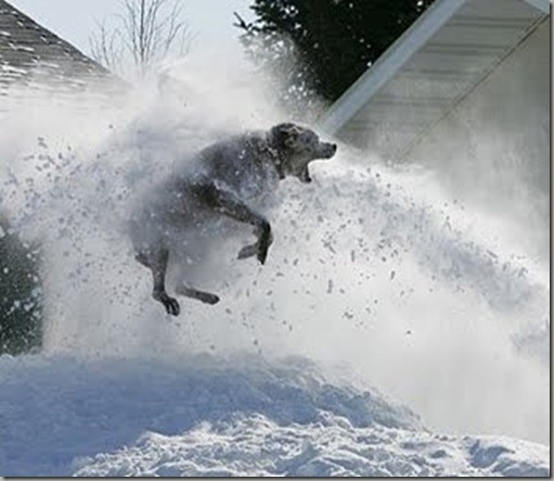 whargarbl_snow_edition