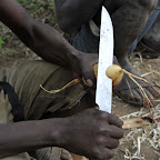 Wurzeln als Vitaminspender © Foto: Marco Penzel | Outback Africa Erlebnisreisen