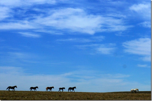DSC01606_R DSC01606_R