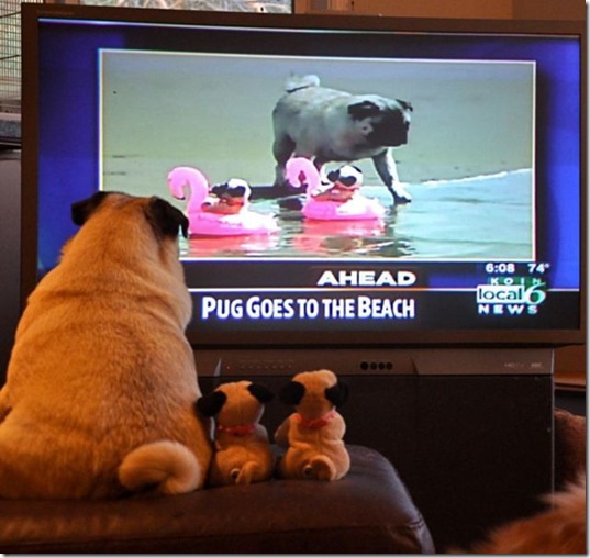 viral-picdump-pics-27