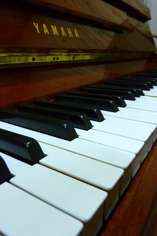 [P109095113.jpg]