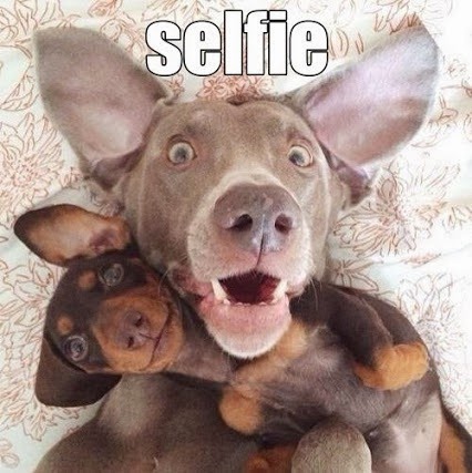 [selfie-cachorros%255B13%255D.jpg]