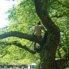 Just ‘hanging around’
