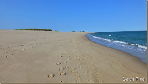 cape cod_006
