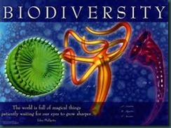 biodiversity