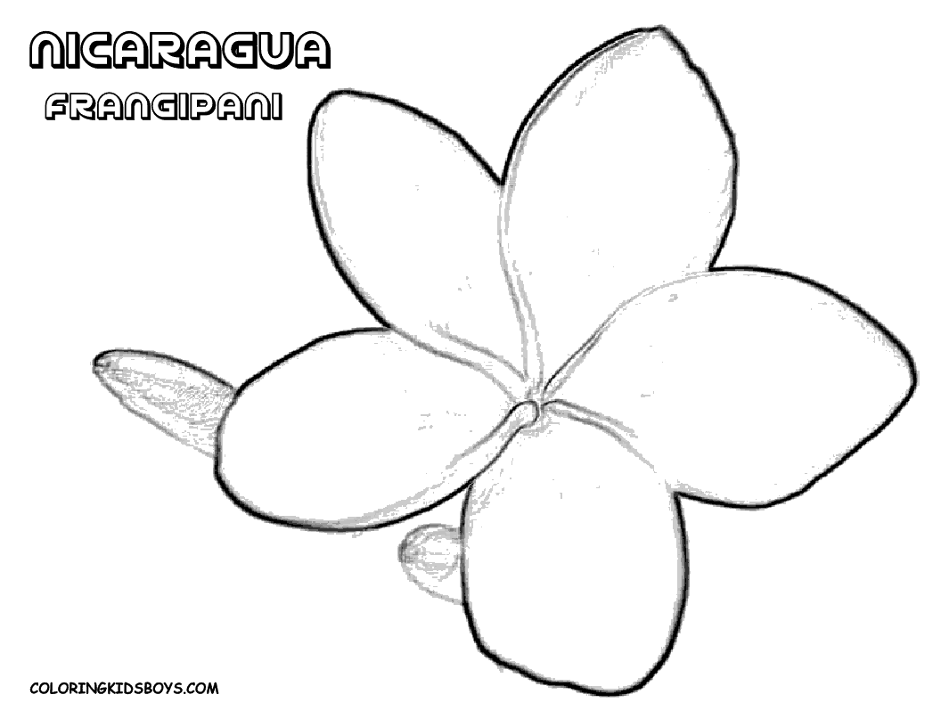 [06_nicaragua_frangipani_flower_at_coloring-pages-book-for-kids-boys%255B2%255D.gif]