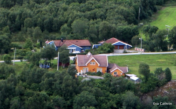 IMG 0139 001