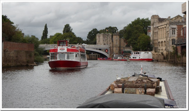 SAM_3088 Waterbuses SAM_3088 Waterbuses