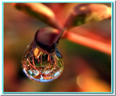Gota de amizade Gota de amizade