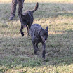 IMG_3295.JPG