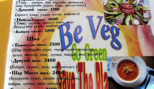One of our first challenges in Mongolia: ordering food