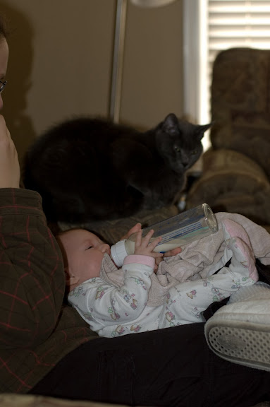 The cats still don't quite know what to make of Sam.  They've accepted her into the house, but they still watch things curiously... (and Sarge flees the room whenever Sam starts crying)