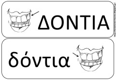 στ17 στ17