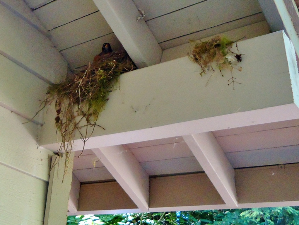 [DSC04987%255B3%255D.jpg]