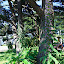 Mendocino, CA 37