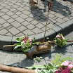 ipfmess0016.JPG