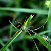 2009 10 13 019.JPG