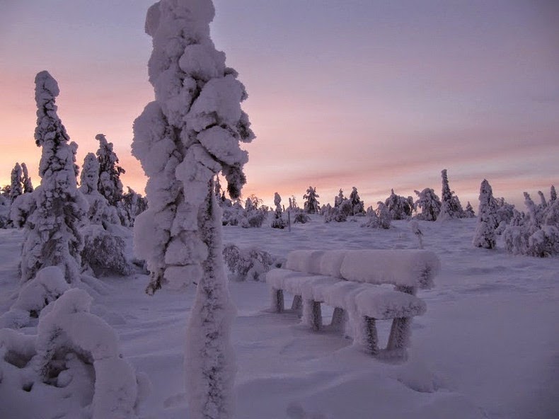 Mùa đông ở công viên Riisitunturi National, Phần Lan. Riisitunturi-tykky-11%25255B2%25255D