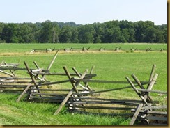 IMG_1815 IMG_1815