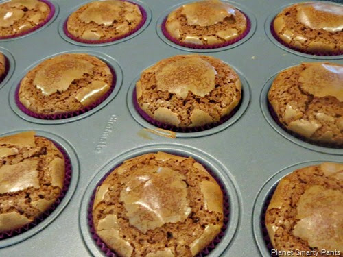 Chocolate-Cupcakes-Out-of-Oven Chocolate-Cupcakes-Out-of-Oven