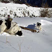 c_c_schnee_5.jpg