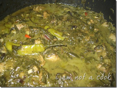 IMG_3880 IMG_3880