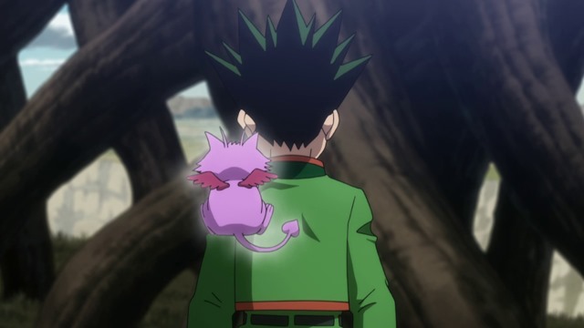 [Hunter-X-Hunter---91---Large-352.jpg]
