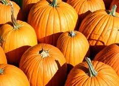 Top Ten Pumpkin Recipes