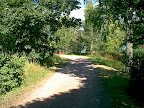 Sand road in the woods Sand road in the woods