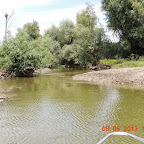 DSCN7097.JPG