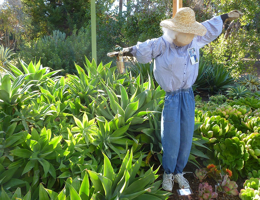 [111008_rbg_scarecrow2%255B3%255D.jpg]