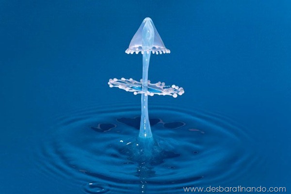 liquid-drop-art-gotas-caindo-foto-velocidade-hora-certa-desbaratinando (48) liquid-drop-art-gotas-caindo-foto-velocidade-hora-certa-desbaratinando (48)