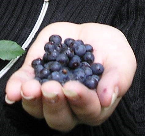 [clip_image0073.jpg]