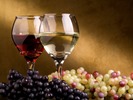 [degustacoes-vinho-e-delicias%255B3%255D.jpg]