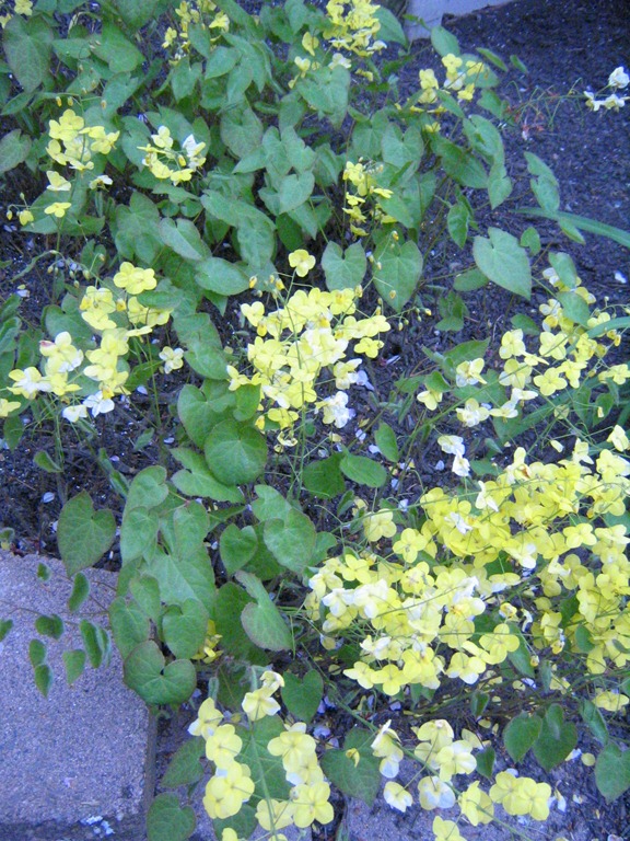 [IMG_0042.jpg]
