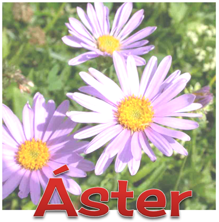 2 ASTER