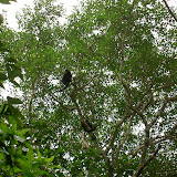 2007-02-01 Hike Cahuita