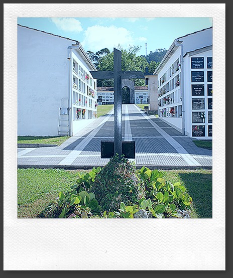 IMG_2960 IMG_2960