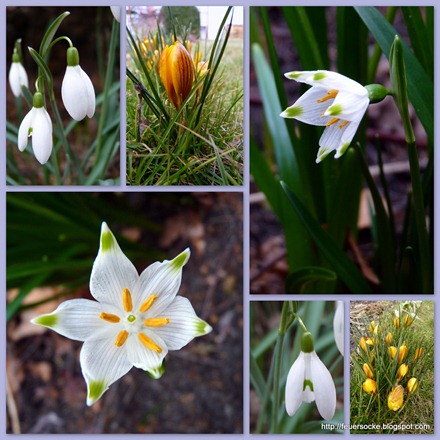 20120204