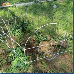 IMG_0757 IMG_0757