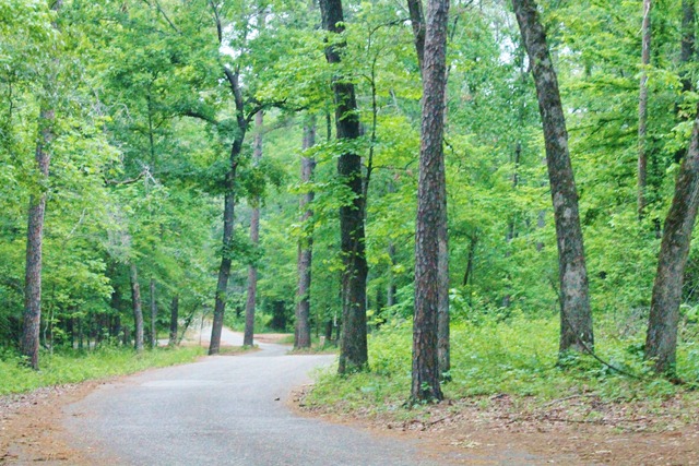[PINE%2520COVE%2520012%255B4%255D.jpg]