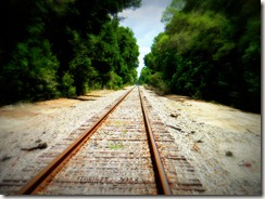 Down the Tracks
